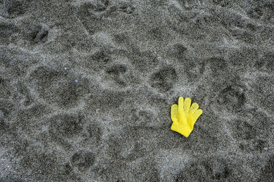 High angle view of yellow leaf on sand