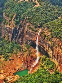 Scenic view of waterfall in forest