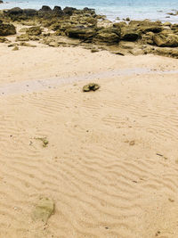 Scenic view of beach