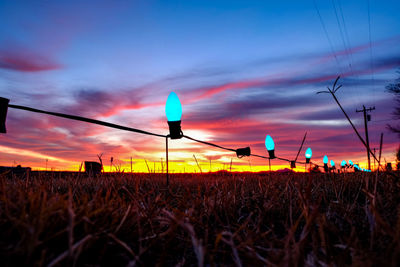 Plants on field against sky at sunset