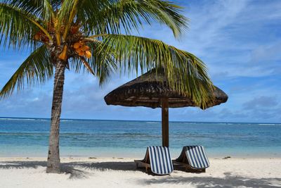 Coconut palm trees by lounge chairs under thatched roof on sand at beach against sky