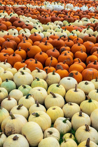 Full frame shot of pumpkins at market stall