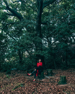 Woman standing by tree in forest