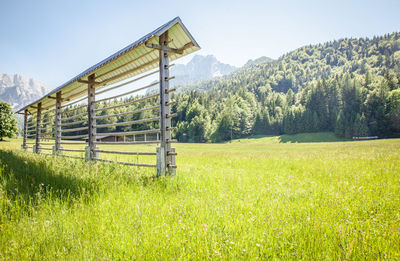 Scenic view of field against clear sky