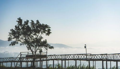 Morning sun ray and winter fog at doi sa ngo mountain in chiang saen , chiang rai ,thailand