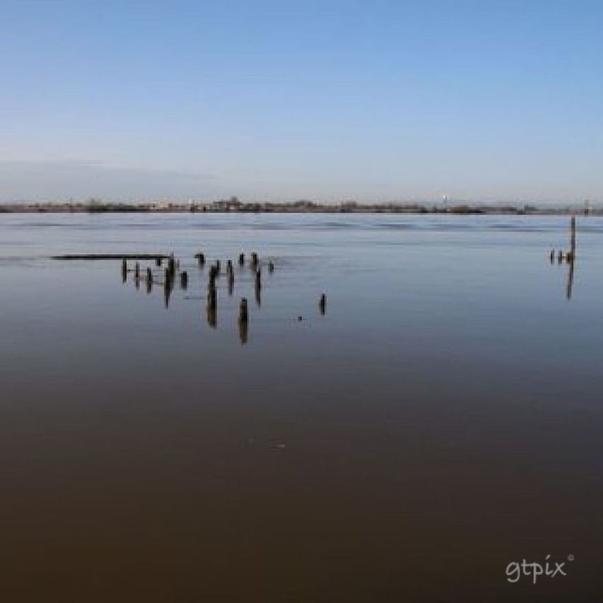 water, clear sky, copy space, tranquil scene, tranquility, lake, waterfront, nature, scenics, reflection, beauty in nature, outdoors, sea, bird, no people, idyllic, day, blue, calm, river