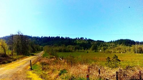 Scenic view of field against clear blue sky