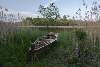 Boat on grass by trees against sky