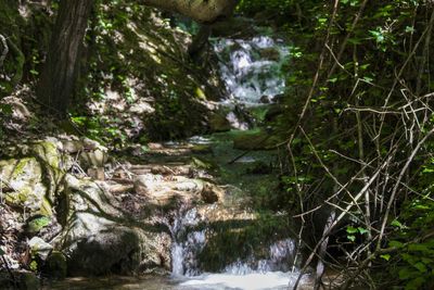 River flowing through rocks