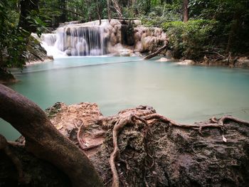 Scenic view of waterfall in forest