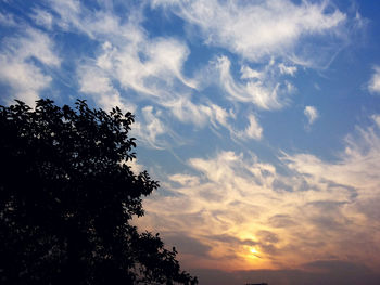 Low angle view of trees against cloudy sky