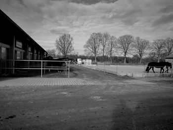 View of horse in ranch against sky