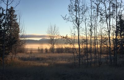 Silhouette bare trees on landscape against sky during sunset