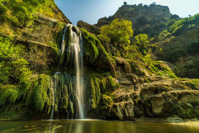 Scenic view of waterfall in forest