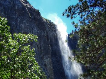 Low angle view of waterfall in forest