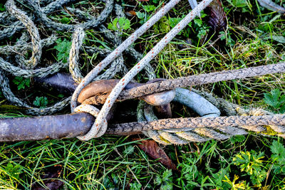 High angle view of rusty rope on grass