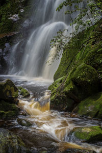 Scenic view of waterfall in forest