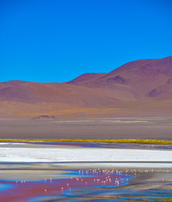 Scenic view of landscape against blue sky