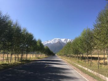 Road amidst trees against sky