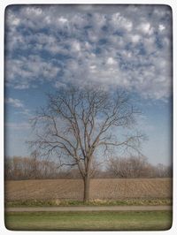 Scenic view of grassy field against cloudy sky