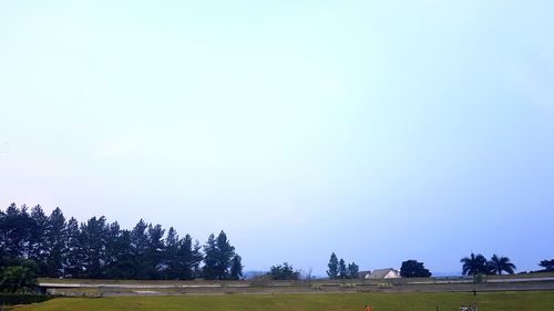 Trees on field against clear sky