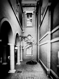 Narrow walkway in narrow alley