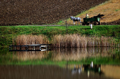 Tranquil scene of lake