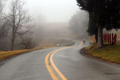 Empty road along trees and plants