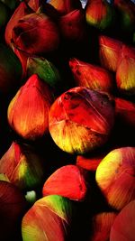 Full frame shot of red chili peppers
