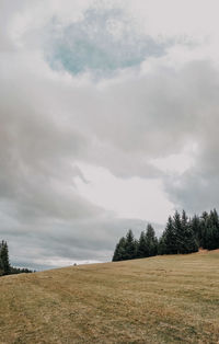 Scenic view of field against sky