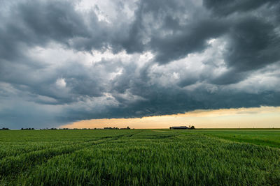 Storm clouds in the evening over a flat landscape