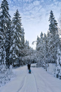 People on snow covered landscape against sky