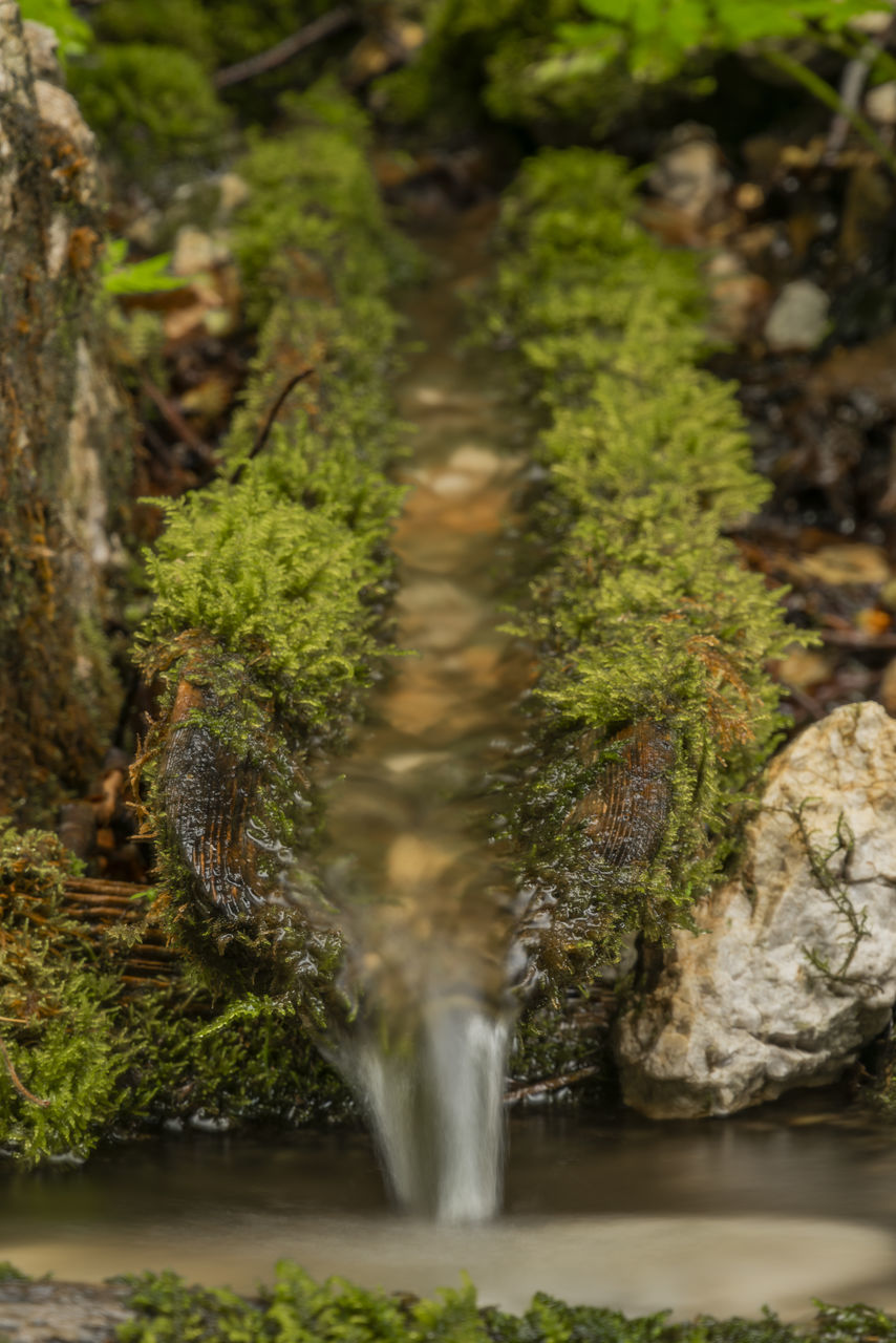 CLOSE-UP OF WATERFALL WITH MOSS IN BACKGROUND