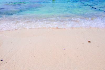 Scenic view of beach