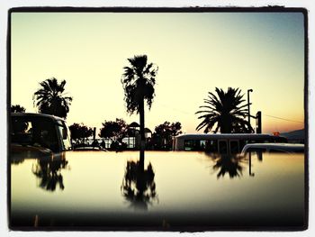 Reflection of trees in water