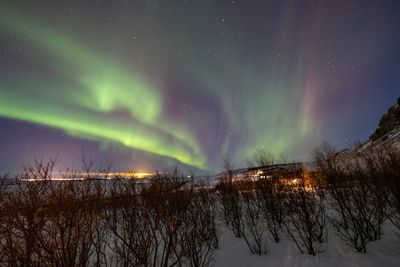 Scenic view of aurora borealis over iceland