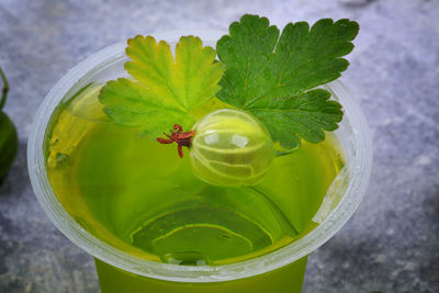 Gooseberry jelly on a gray stone background top view