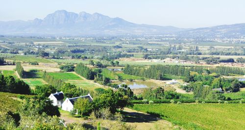 Scenic view of rural landscape