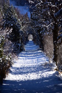 Snow covered road