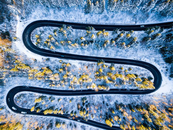 Aerial view of road amids forest