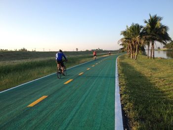 Man riding bicycle on road