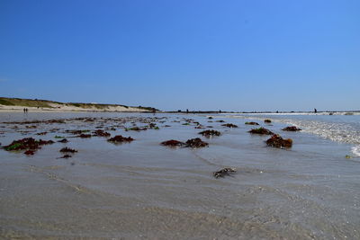 Scenic view of sea against clear blue sky