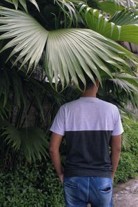 Rear view of man standing by palm tree