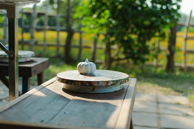 Close-up of coffee on table in yard