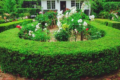 View of formal garden