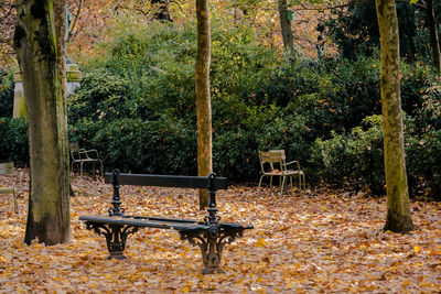 Chairs and table against trees in park during autumn