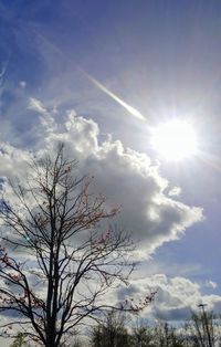 Low angle view of tree against cloudy sky