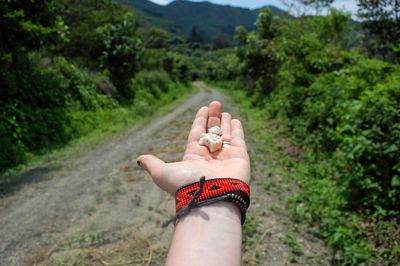 Cropped image of woman hand holding food