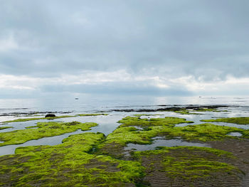 Beach photography