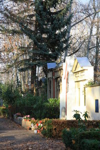 View of trees and buildings